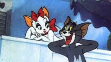 Sevilme Yanılgısı