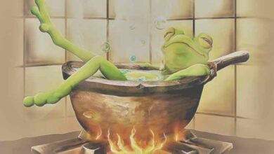 Kaynayan Kurbağa Sendromu