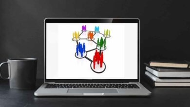 Organik Dayanışma Nedir